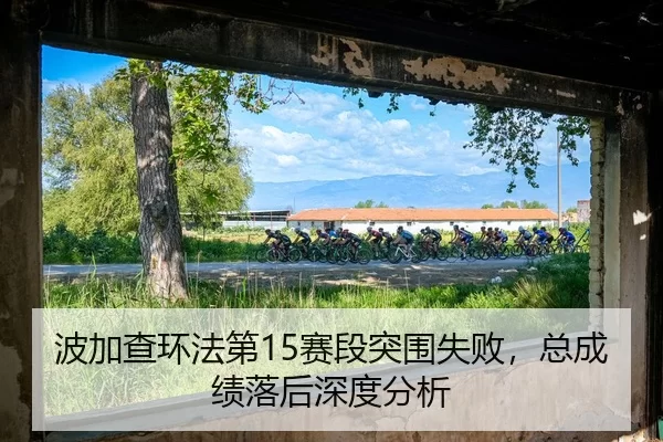 bo-jia-cha-huan-fa-di-sai-duan-tu-wei-shi-bai-zong-cheng-ji-luo-hou-shen-du-fen-xi-3-231.jpg