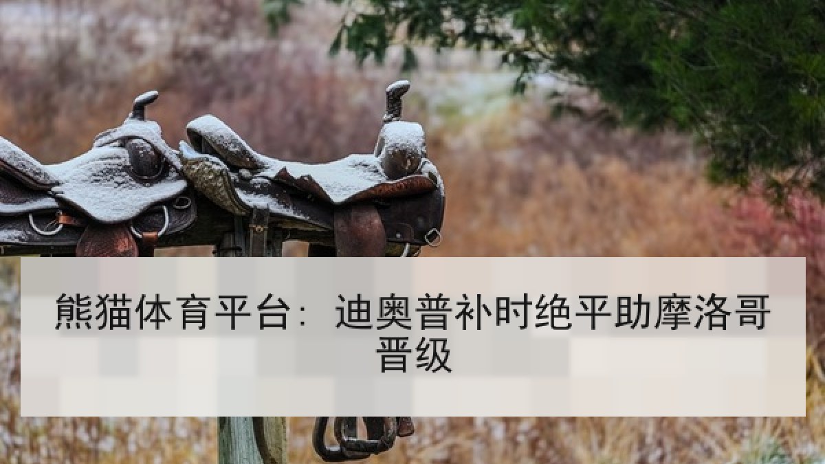 熊猫体育平台: 迪奥普补时绝平助摩洛哥晋级